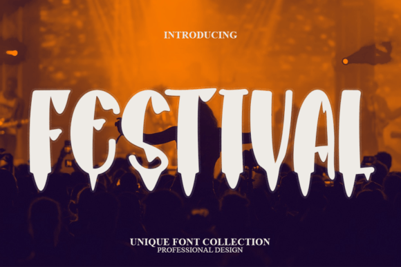 Discover Festival: The Versatile Display Font for Modern Creators