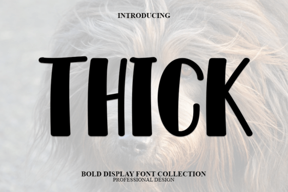 Thick: A Modern Display Font for Creative Projects